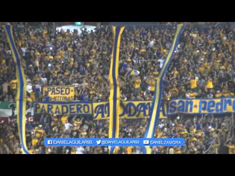 "Ecos Libertadores, Tigres vs River Plate" Barra: Libres y Lokos • Club: Tigres