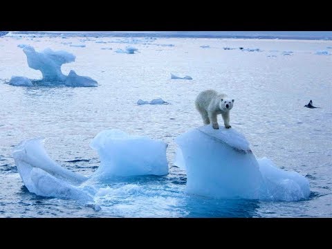 Click to Watch the Heatwave grips the Arctic as apocalypse looms video Click to Watch the Heatwave grips the Arctic as apocalypse looms video