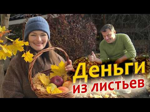 Leaves as fertilizer: The secret to using "garbage"