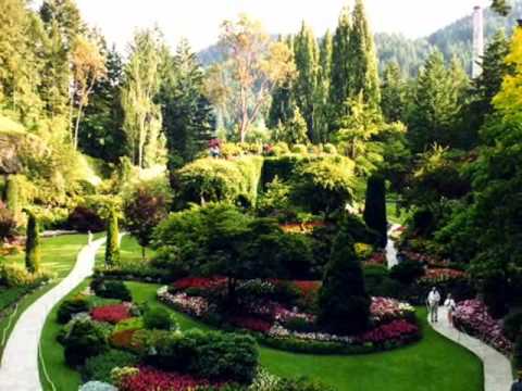 The landscape song Antena 5 hit