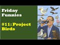 Friday Funnies 11 Project Birds Meet The Creatures Squawking All Over Your Project Plan