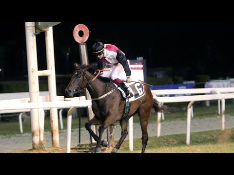 EQUOS MONDO GALOPPO puntata 13