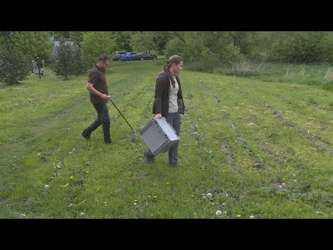 Obyvateľom Košút naháňajú strach  vretenice