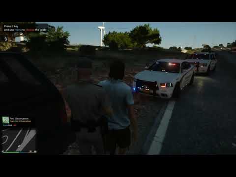 GTA V LSPDFR- State Patrol Speed Enforcement