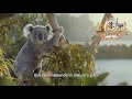 National Anthem Of Australia Advance Australia Fair