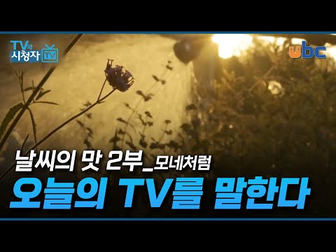 [TV 와 시청자] UHD 특별기획(날씨의 맛 2부‘모네처럼) 박은숙 교수 비평