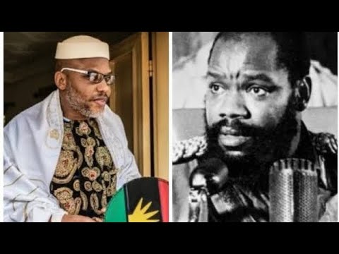 Igbo Enweghi Eze: A myth about Igbos indices of leadership in Igbo land