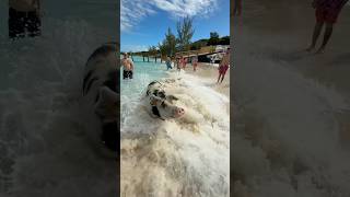 Day 3 on Wonder Of The Seas in Nassau and we went on an excursion with Resort For A Day