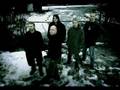 Two seconds in life- Green carnation 