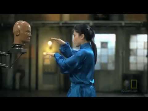 Snake Style Kung Fu AMAZING SPEED