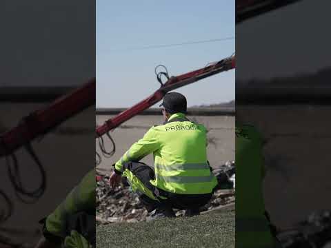 Everwave People #everwave