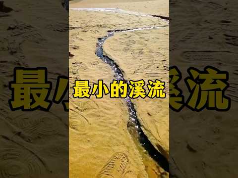 Only 30 cm long! This is actually the world's smallest stream #LearnSomethingNew #ScienceFacts #E...