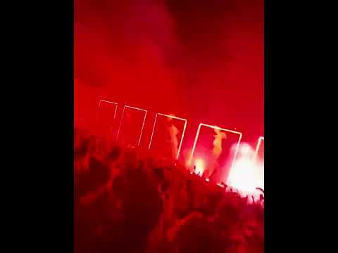 Netsky @ Beyond #shorts #reels #festival #beyondwonderland #drumnbass #insomniacevents #rave