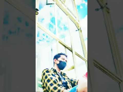 arik 5 arik 50 mikael familiy 100