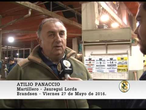 27-05-16 Nota Atilio Panaccio - Jauregui Lorda - Brandsen.
