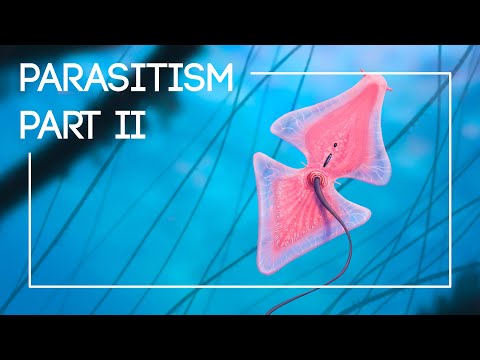 3 More Parasites From an Alien Biosphere  |  The Isla Project: Episode 3