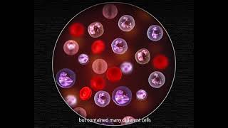 Otomatik Hematoloji Analizörü