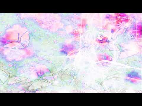 Araiguma Interviews: Episode 25 - 06brick [2024]