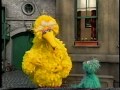 Sesame Street Big Bird Helps Carlo Gina