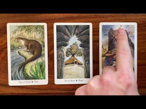 Come home to *you* 26 January 2021 Your Daily Tarot Reading with Gregory Scott