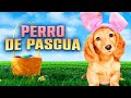 PERRO DE PASCUA HD PELICULA FAMILIAR PELICULA COMPLETA EN ESPANOL LATINO