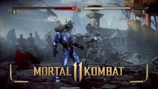 MORTAL KOMBAT 11: Using the "Terminator T-800" Exo-skeleton (MK11)