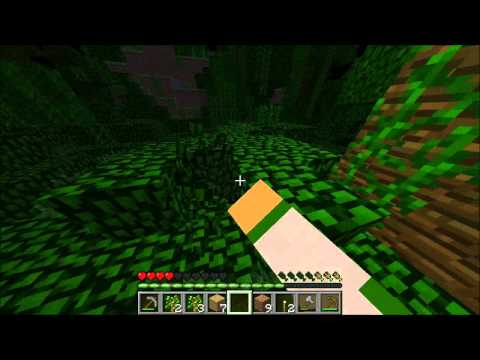 d13h1r - Minecraft: Jungle Survival - Episode 2