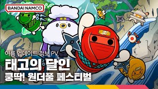 퀘이사존