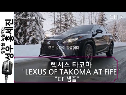 비디오 9