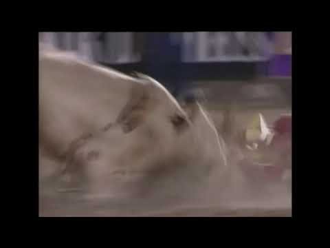 PBR 2001: Alligator Sniffs Out B.J. Kramps