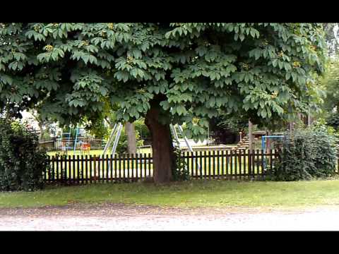 Die Ortschaft Borsum