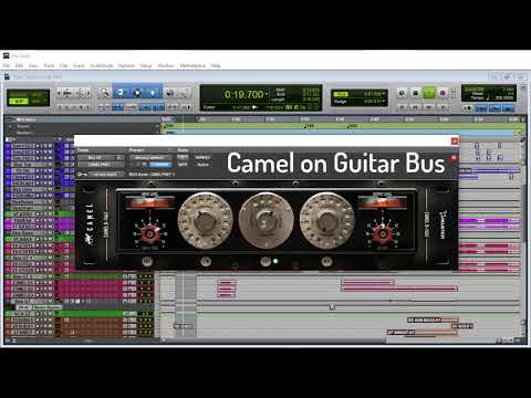 Acustica Audio Camel (Preamp Plugin)