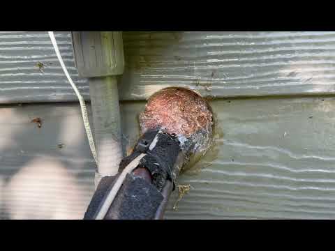 Sealing Up Gaps to Prevent Pest & Rodent Infestations in Pennington, NJ