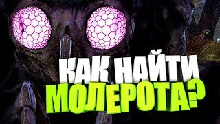 Fallout 76: ДОБРЫЙ МОЛЕРОТ НА МАЯКЕ, СОБЫТИЕ: ПУТЬ К ПРОСВЕТЛЕНИЮ