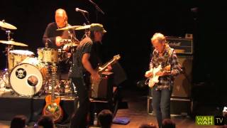 Hamburg Blues Band  feat. Clem Clempson - Down In The Flood  (Bob Dylan) - Live 2010 (HD)