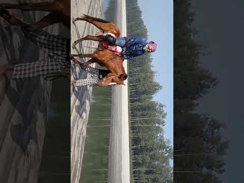 Shaheen beach, Cox's Bazar.