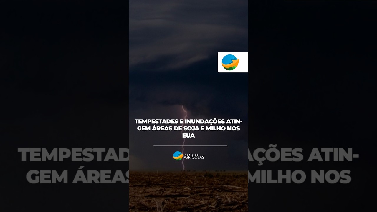 TEMPESTADES E INUNDAÇÕES ATINGEM ÁREAS DE SOJA E MILHO NOS EUA