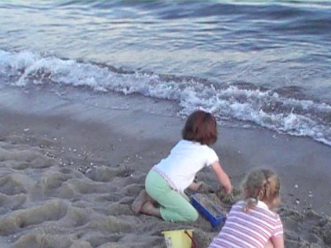 Chauncey on Cape Cod beach
