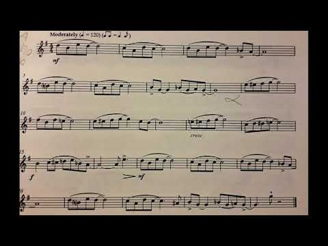 Ted's Shuffle from 40 Modern Studies by James Rae