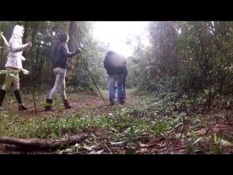 Encontro com a Personalidade - Eneagrama com Gheno - 13, 14 e 15 de junho de 2014