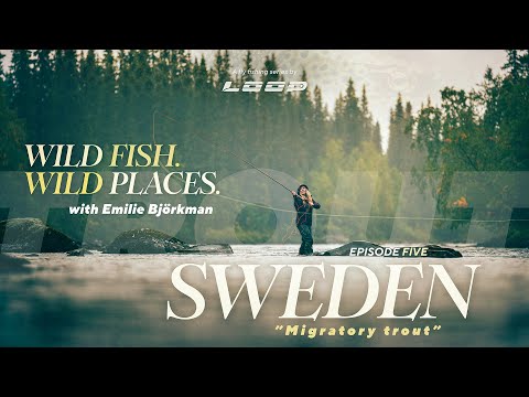 Loop Presents: Wild fish. Wild Places | Ep.5 Fly fishing in Sweden with Emilie Björkman