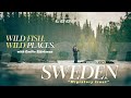 Loop Presents Wild Fish Wild Places Ep 5 Fly Fishing In Sweden With Emilie Björkman