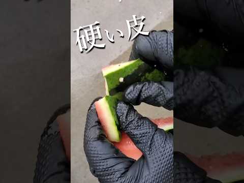 園芸 私は堆肥を作ります