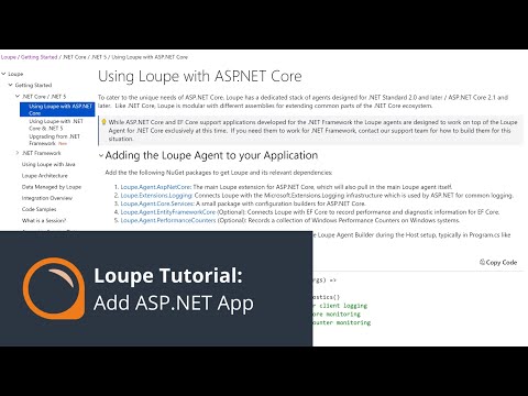 Loupe Server  - Add an ASP.NET Core Application