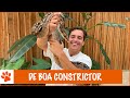 Wat maakt de wurgslag zo bijzoner?! | DierenpraatTV