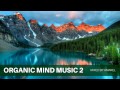 Organic Mind Music 2 by Amarel (Ambient)