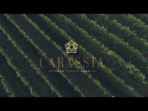 The cool climate is our sparkling wines` quintessence