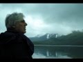 Robyn Hitchcock - Dignity