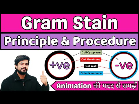 🔴Gram Staining🟣|| Principle & Procedure || Microbiology in Hindi