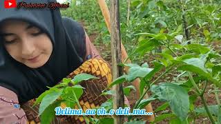 Download lagu karaoke dangdut delima â•‘ Yulia Citra feat jotha RG mp3 Download lagu karaoke dangdut delima â•‘ Yulia Citra feat jotha RG mp3